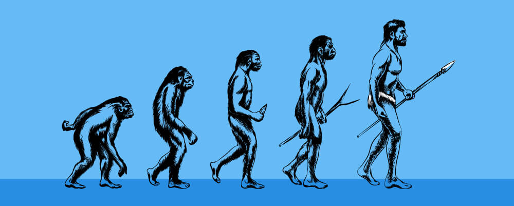Human-Evolution-Timeline.jpg