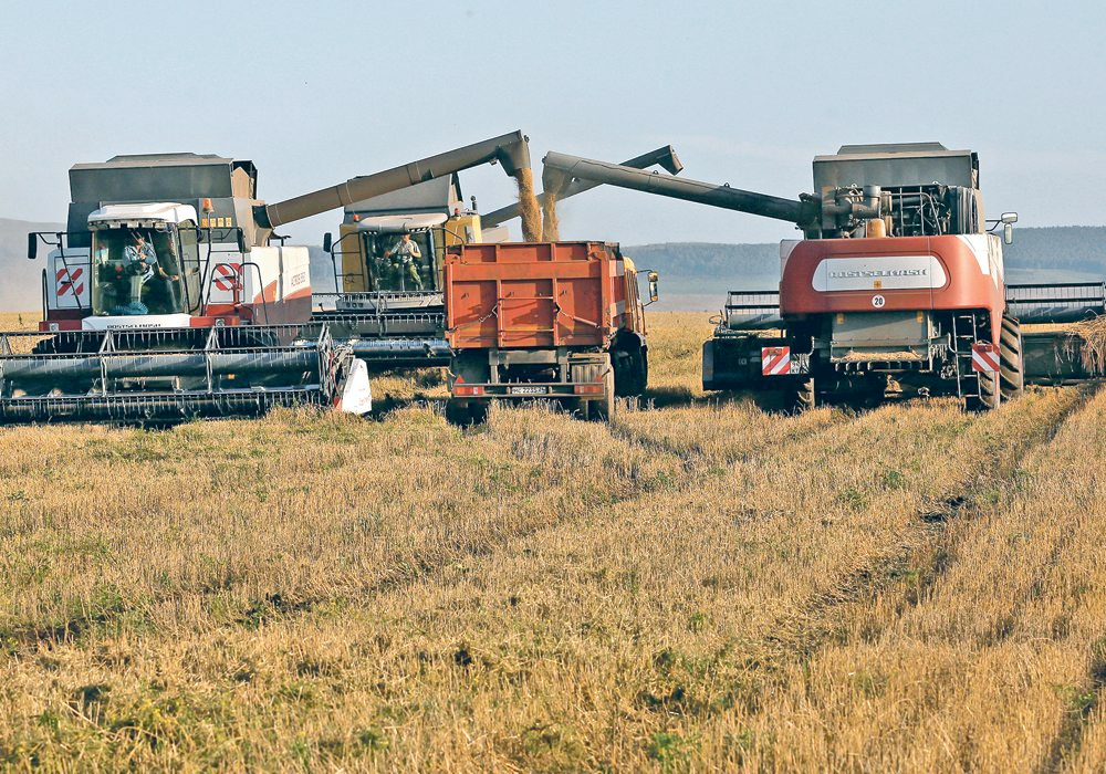 01-Russia-wheat-harvest-RTX3DZO0.jpg