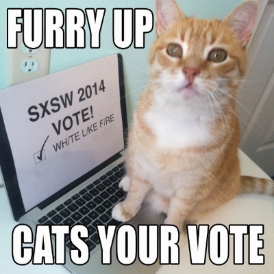 SXSW+Cat+Meme.jpg