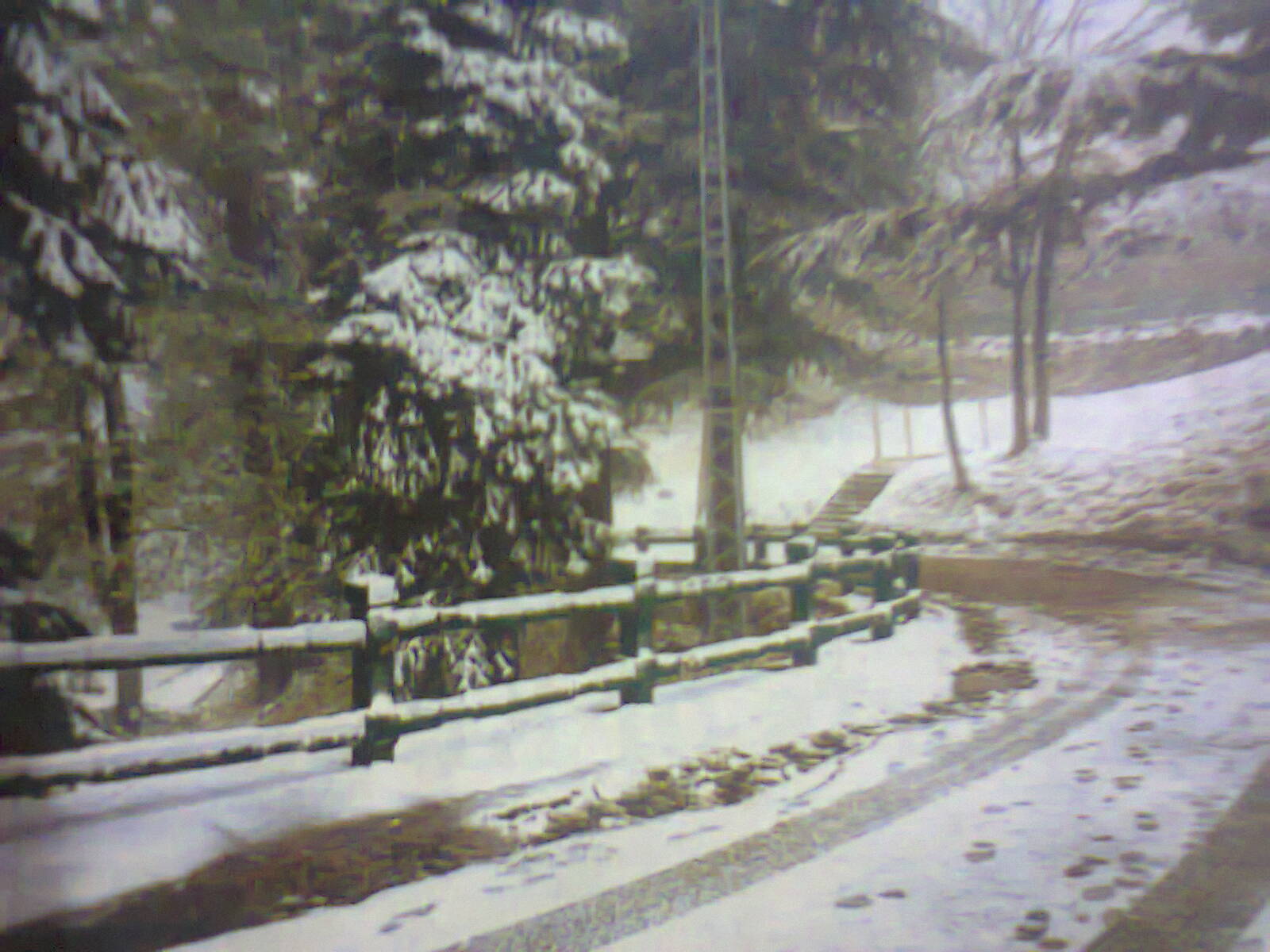 Galiyat_road_in_snowfall.jpg
