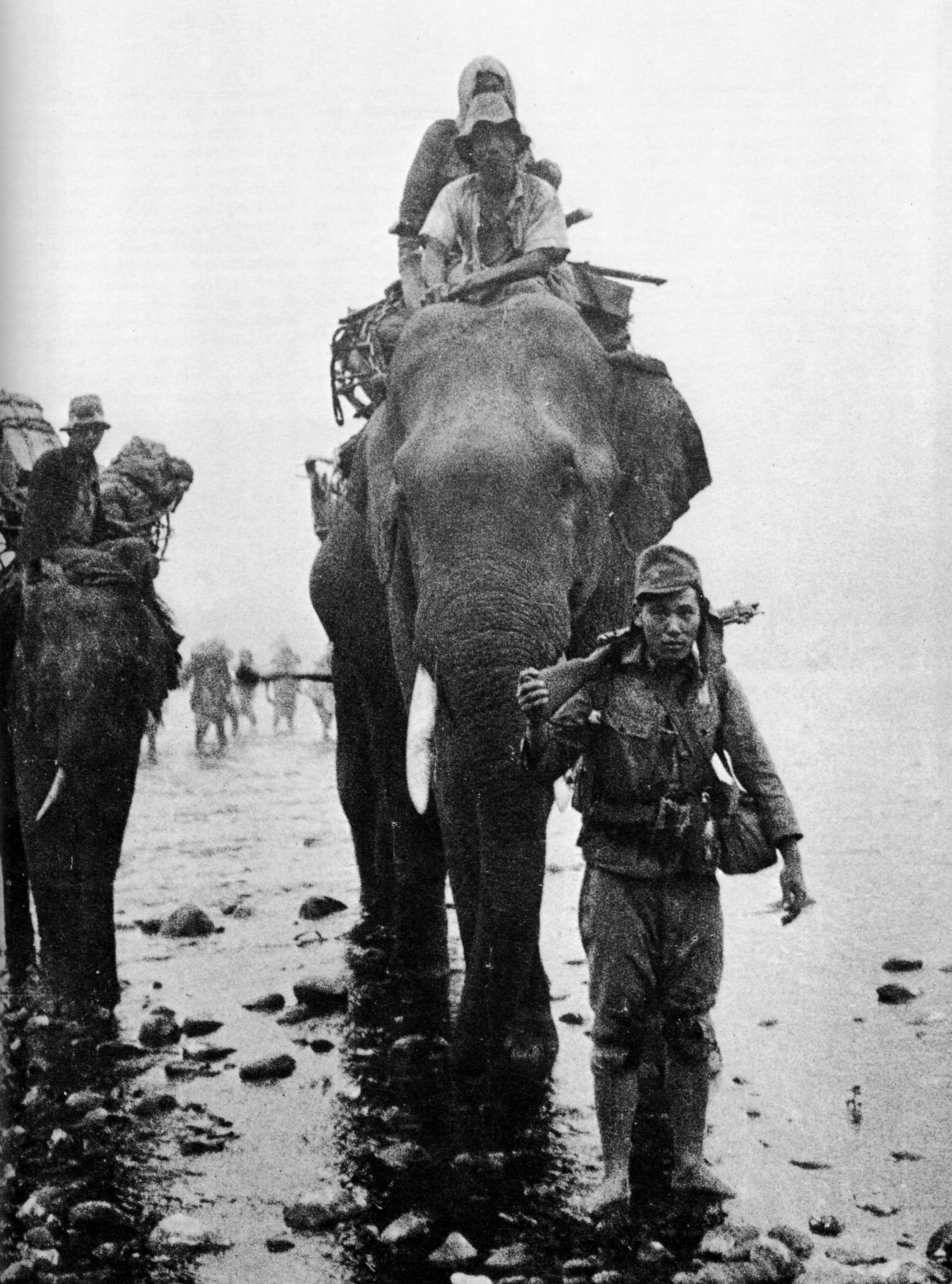 Japanese_troops_on_elephant_in_Burma.jpg