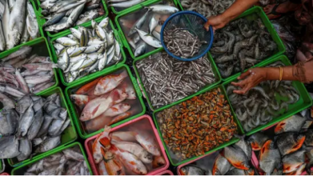 Imports from Dalian, which primarily fishes for tuna, have exceeded USD 20 million as recently as 2018.