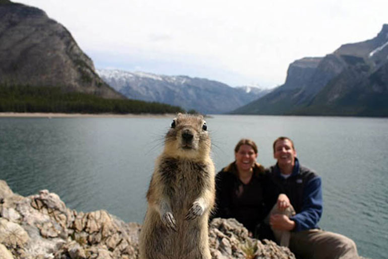 1.-Squirrel-Photobomb.jpg.jpg