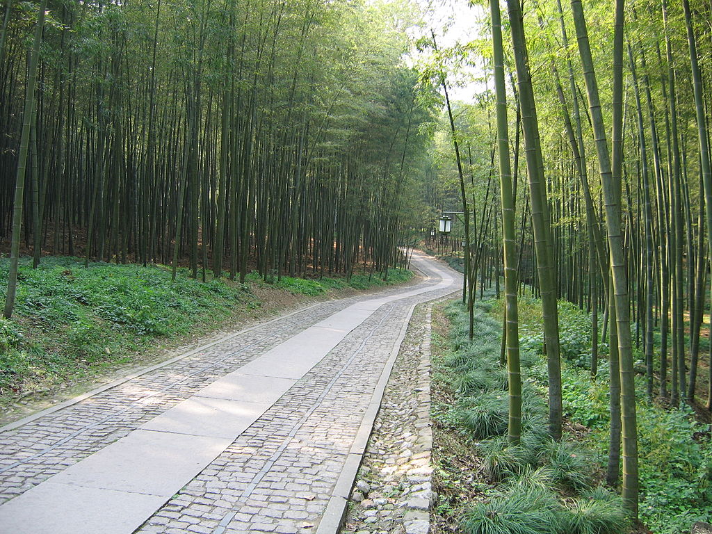 1024px-China_Hangzhou_Bamboo_Lined_Path_at_Yunqi.JPG