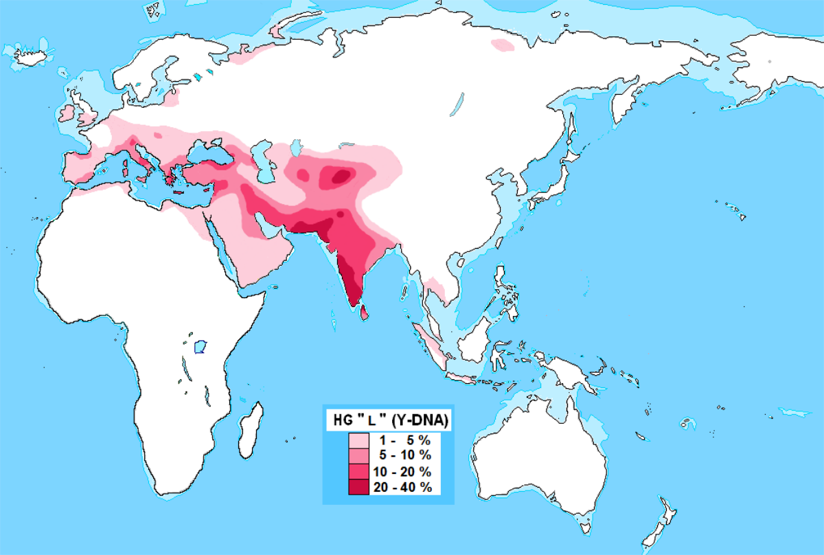 1200px-Distribution_Haplogroup_L_Y-DNA.svg (1) (1).png