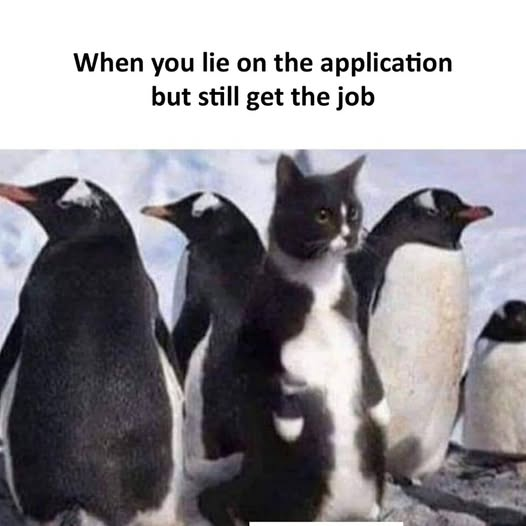 1746562491407.png