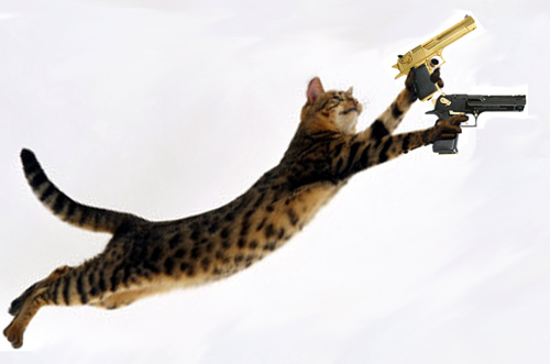 1_cats_with_guns.jpg