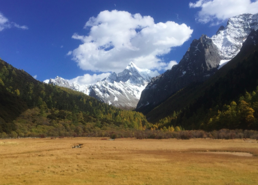 屏幕快照 2015-11-10 19.44.42.png
