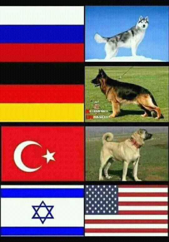 31124436_2103944426298604_3024254496529186816_n.jpg