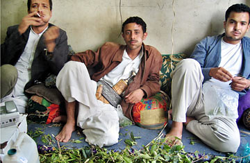 360_chewing_qat_0814[1].jpg