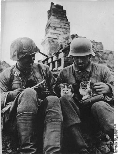 598260d1384882154-soldiers-animals-two_german_soldiers_enjoying_the_co_2047931842[1].jpg