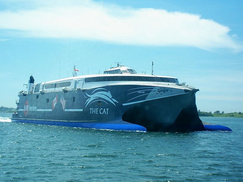 800px-The_cat_ferry.jpg