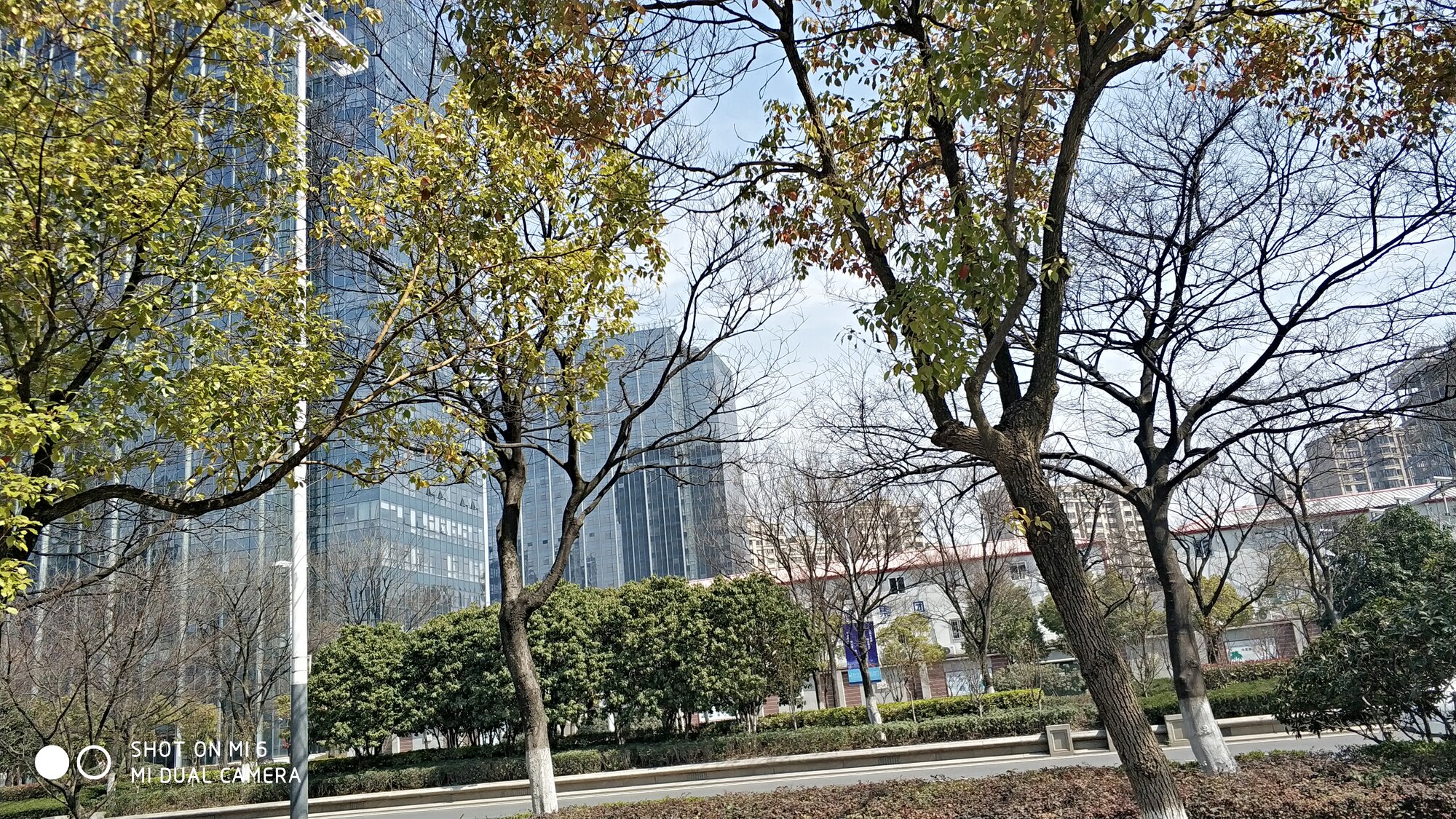 微信图片_20190316155632.jpg