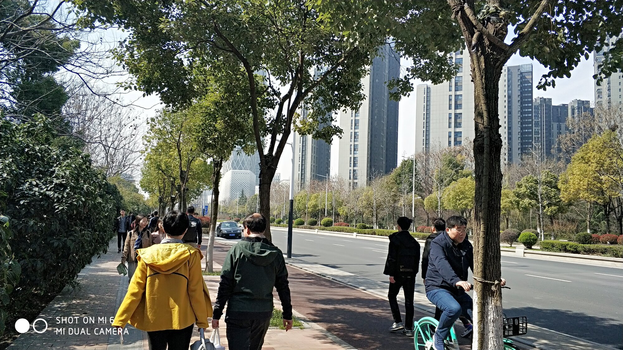 微信图片_20190316155636.jpg