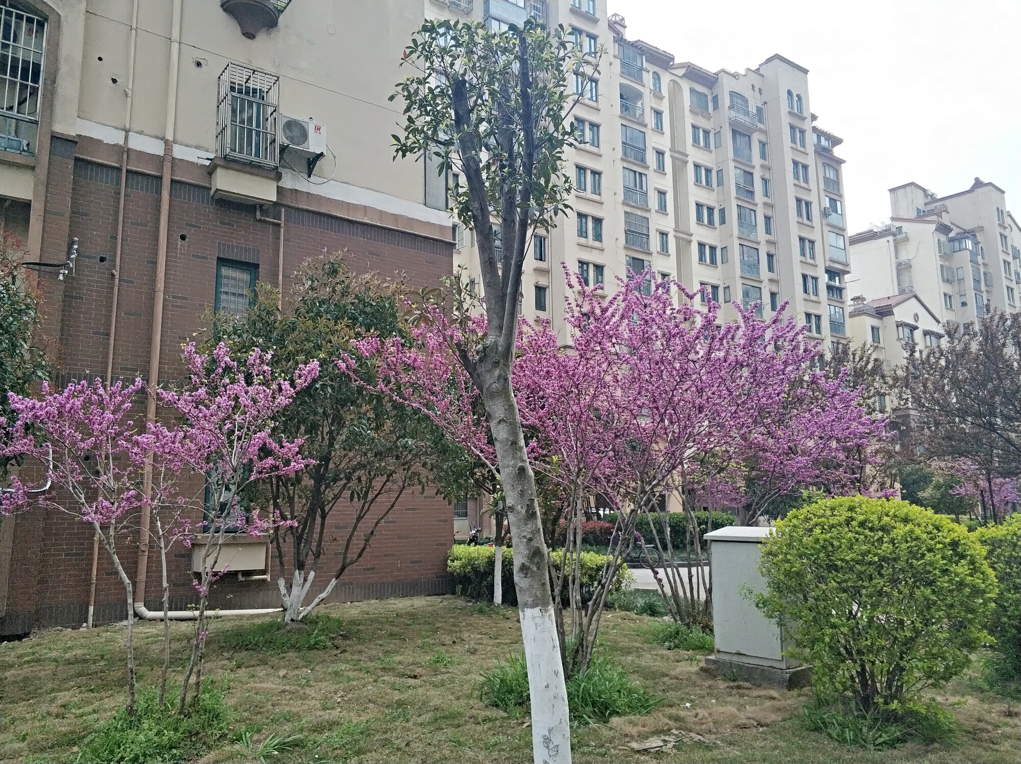 微信图片_20190330165309.jpg