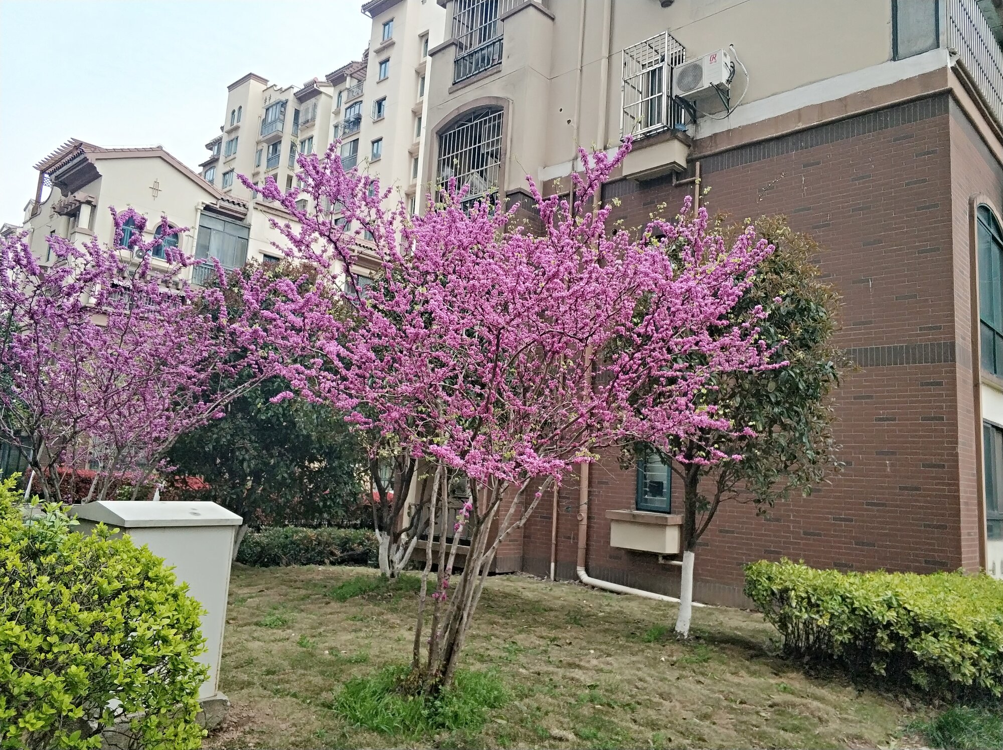 微信图片_20190330165322.jpg
