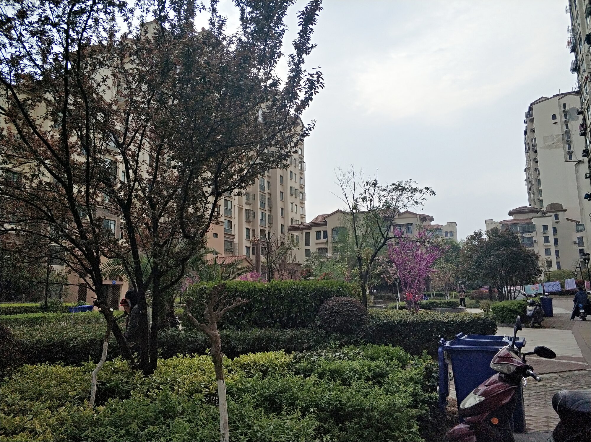 微信图片_20190330165326.jpg