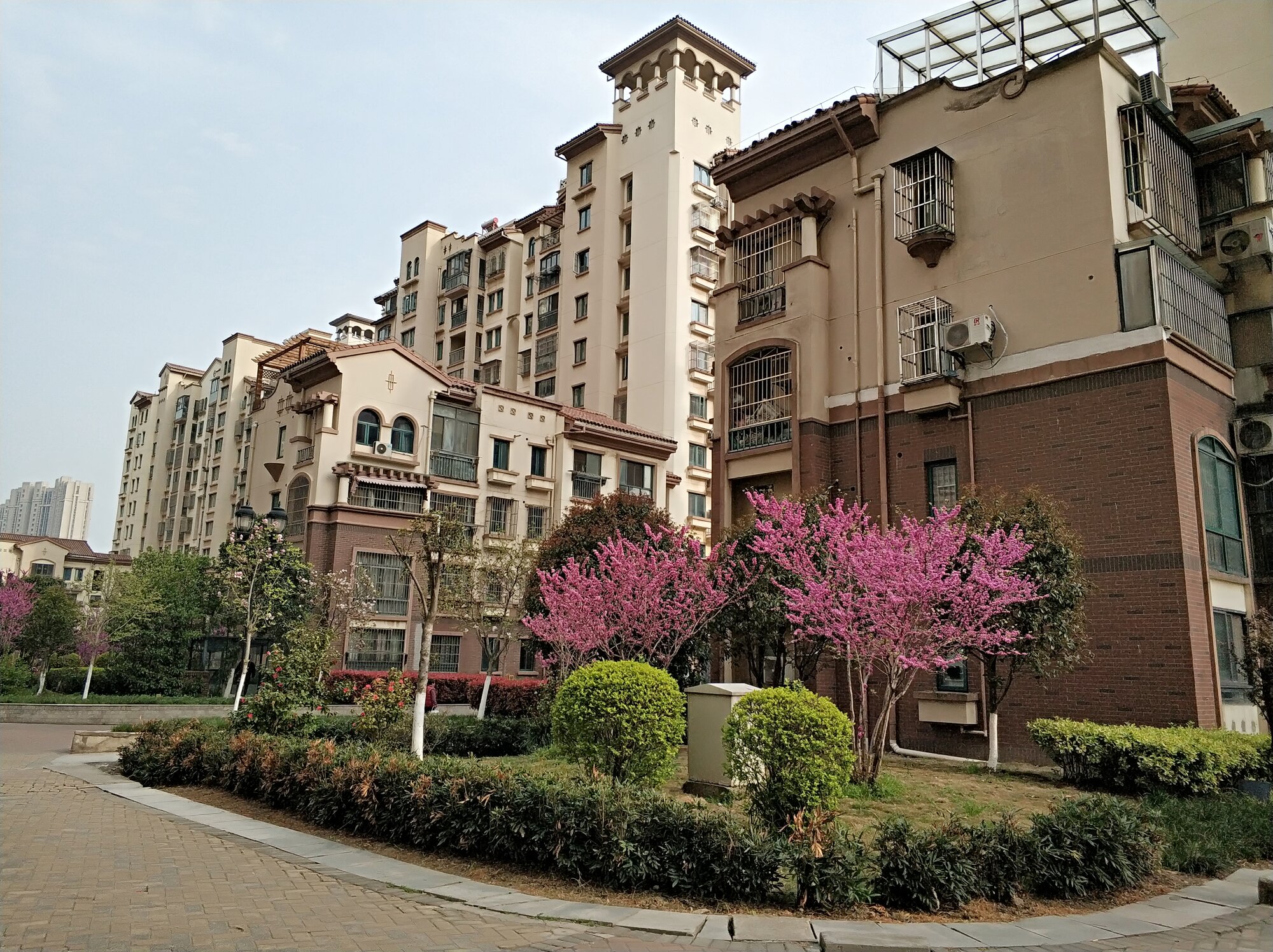 微信图片_20190330165340.jpg