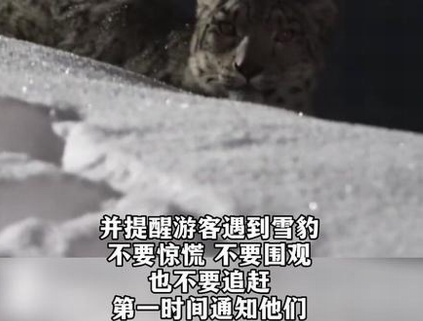 调整大小 微信图片_20230112010335.png