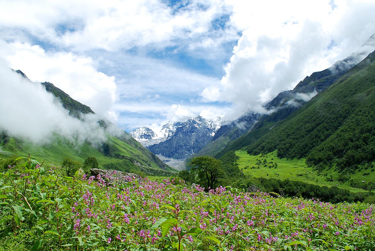 (A)_Valley_of_flowers,_Garhwal_Uttarakhand_India.jpg