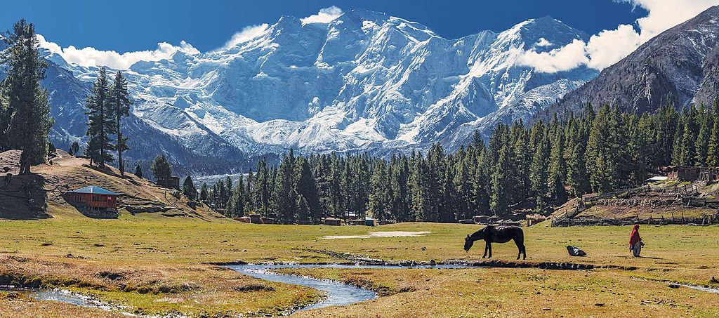 A_morning_in_Fairy_Meadows.jpg