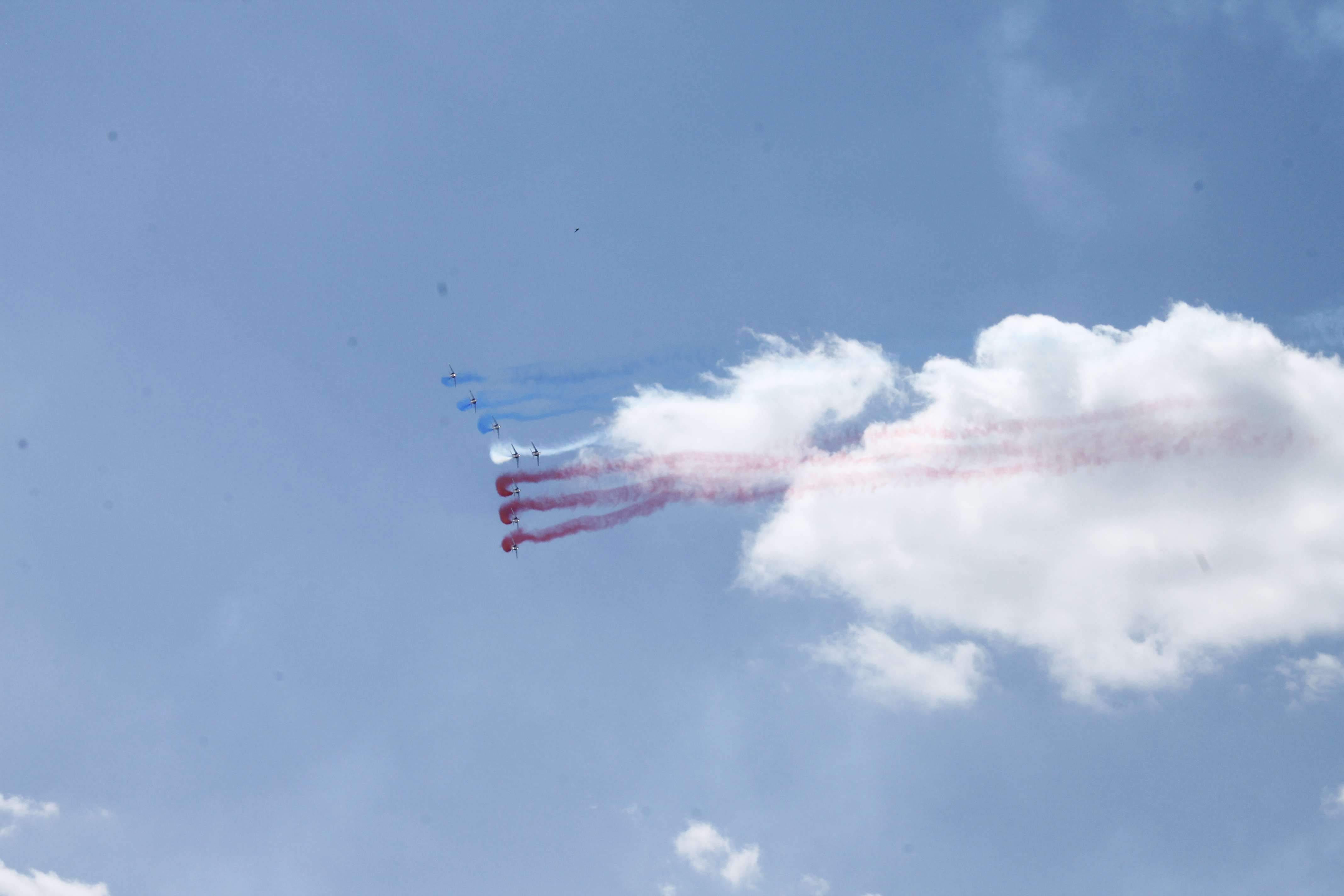 Alpha Jet display3.jpg