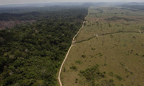 Amazon-deforestation-008.jpg