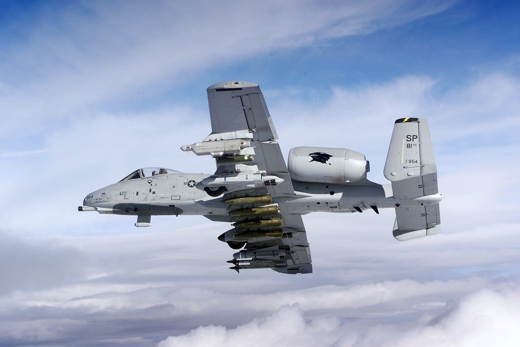 An_A-10_from_the_81st_Fighter_Squadron_flies_over_central_Germany.jpg