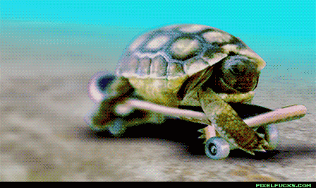 b7201efdf37e40d697362210d42c12a4[1].gif