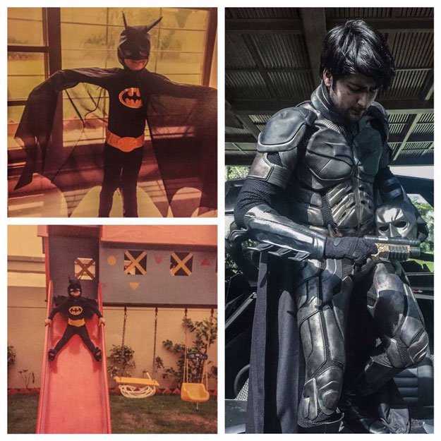 bat image4.jpg