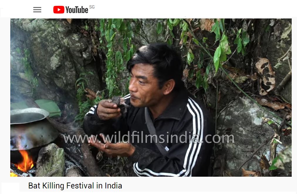 Bat Killing Festival in India 4.jpg