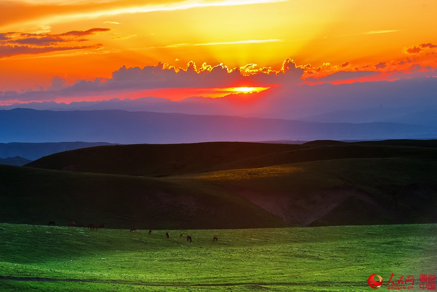 Bayinbuluke-Prairie,Xinjiang.(4).23k-sqkm.jpg