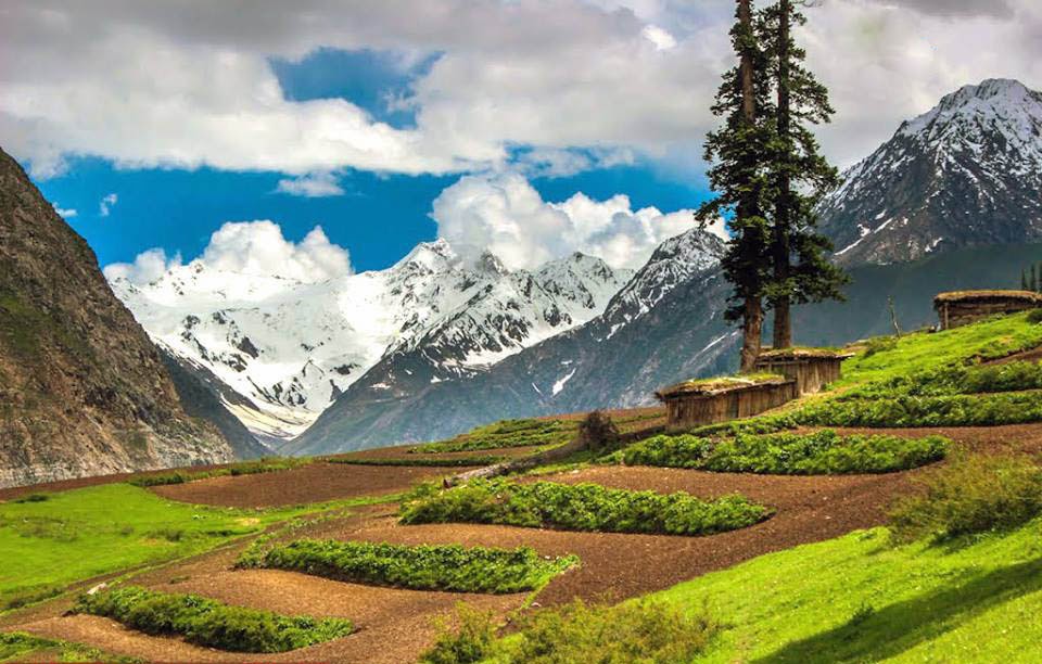 beautiful meadows in kagan valley Pakistan.jpg