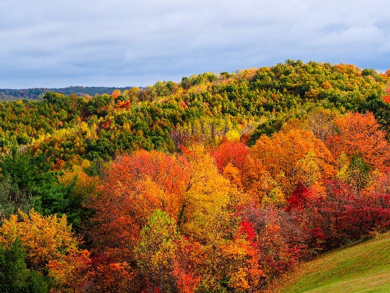 bigstock-Fall-Color-in-the-Hills-85948598.jpg