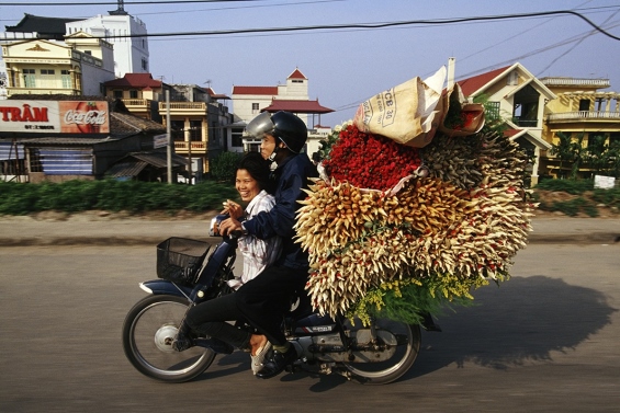 bikes-of-burden-2.jpg