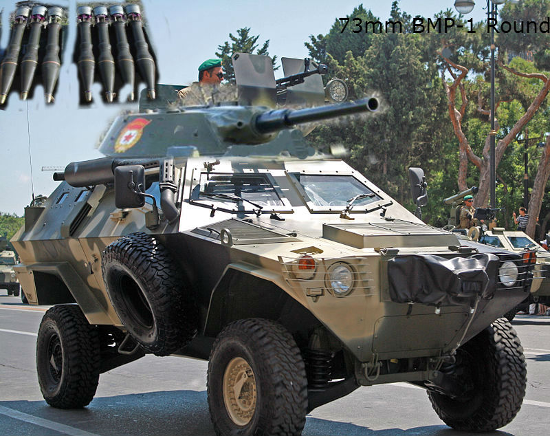 BMP-Cobra.jpg