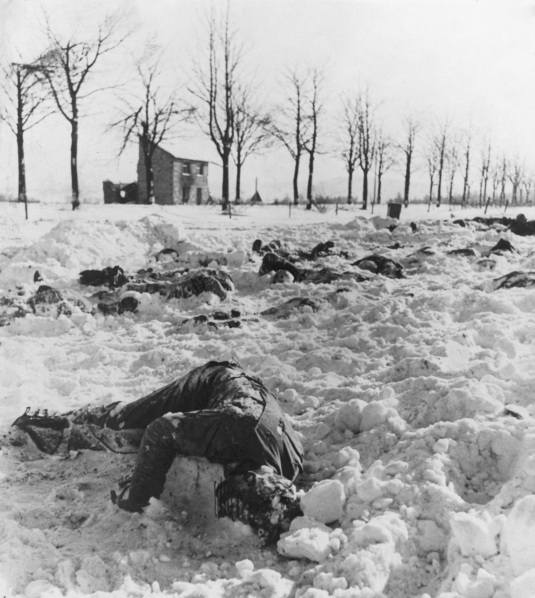 Bodies_of_U.S._officers_and_soldiers_slained_by_the_Nazis_after_capture_near_Malmedy,_Belgium....jpg