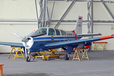 bonanza-bef33a.jpg