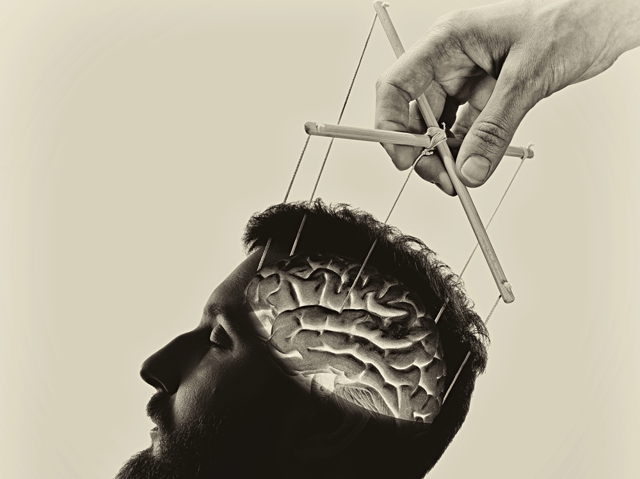 brain-puppet.jpg