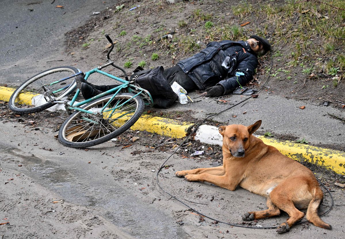 Bucha massacre staged - Man with bicycle and dog.jpg