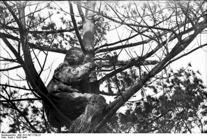 Bundesarchiv_Bild_101I-297-1728-22,_Im_Westen,_Scharfschütze[1].jpg