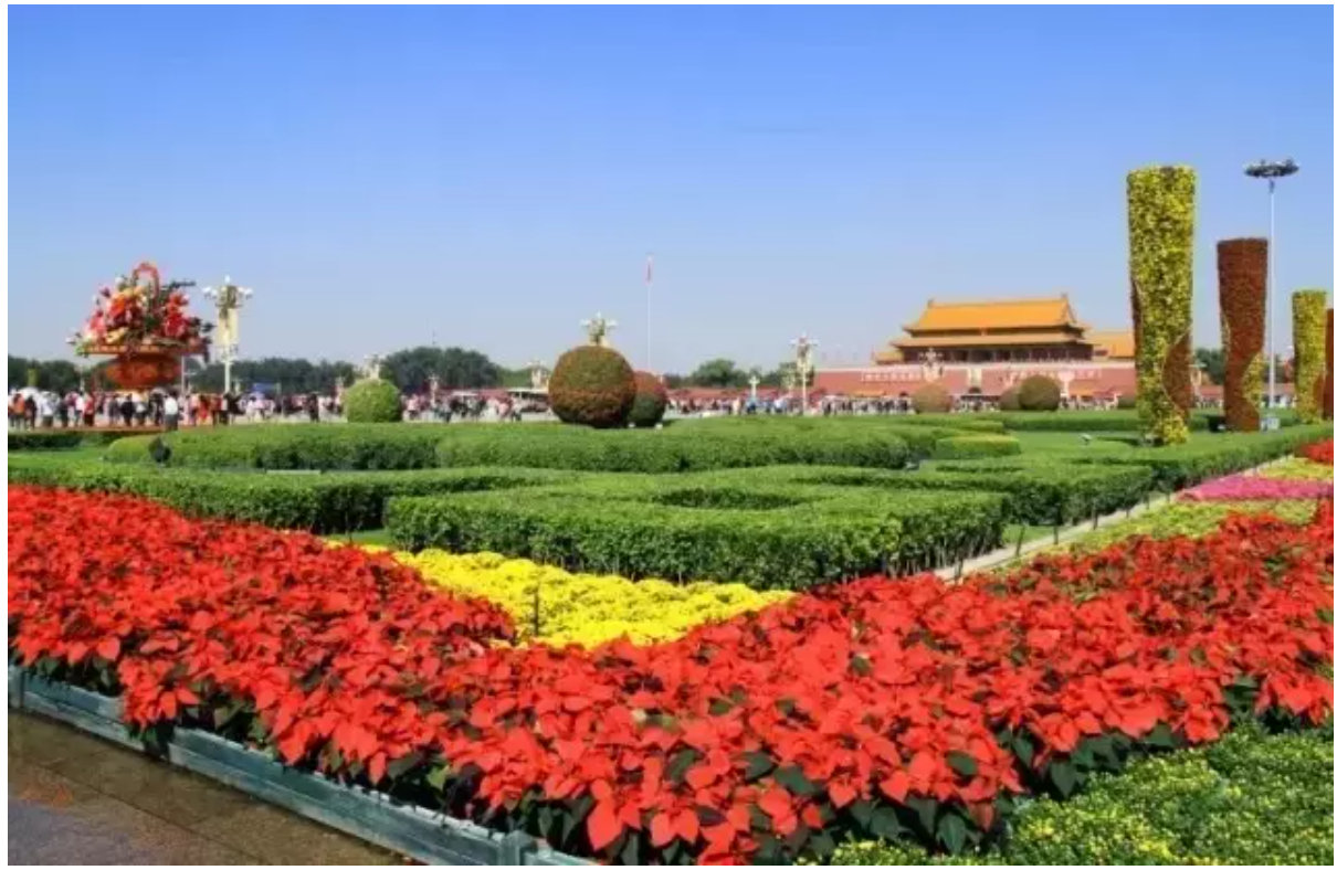 China's National Day October 1st 2020 - Tian'anmen Square design.png