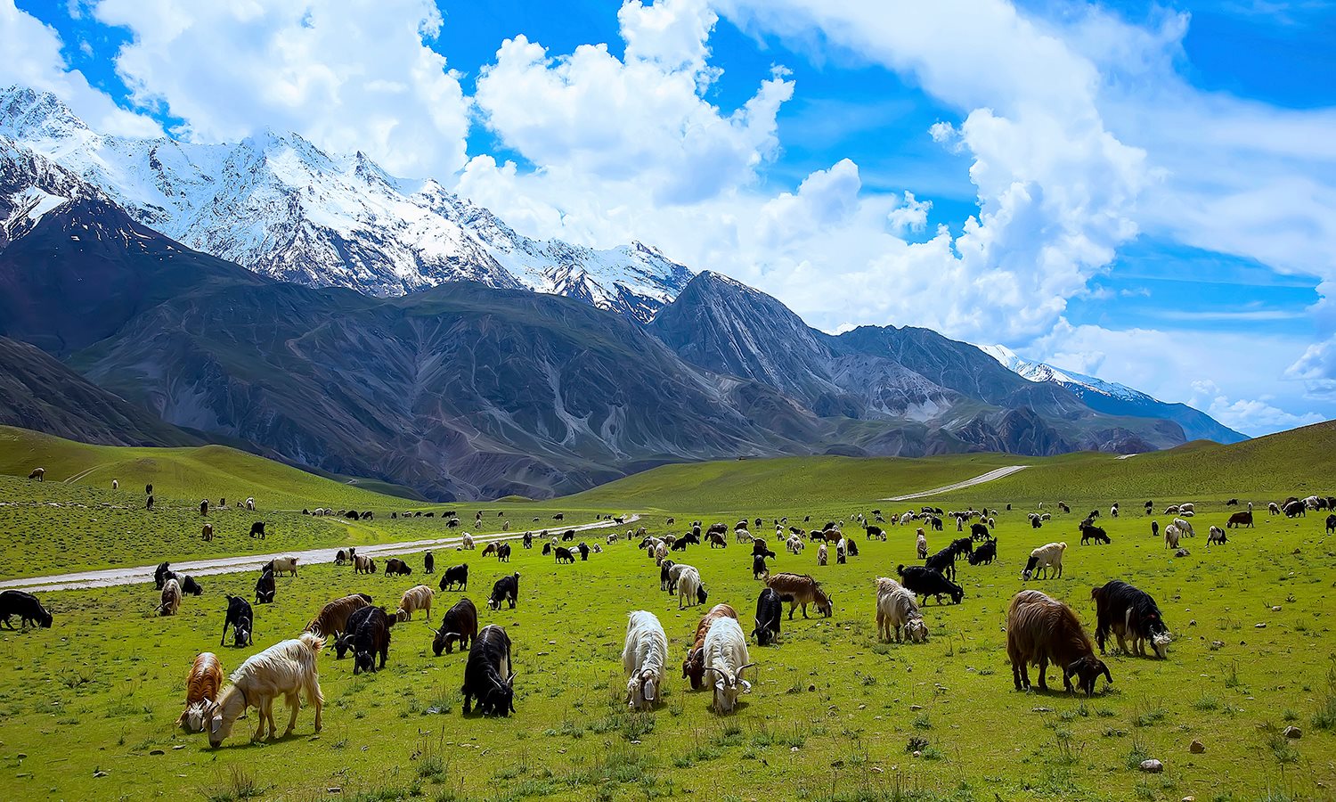 CHITRAL NATIONAL PARK.jpg