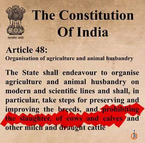 Constitution preventing cow slaughter.jpg