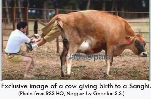 Cow giving birth to Sanghi.jpg