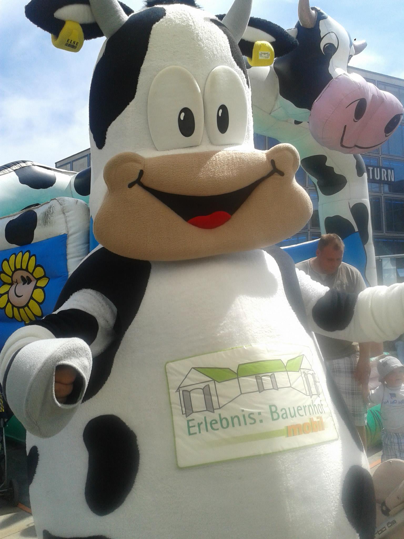 cow mascort.jpg