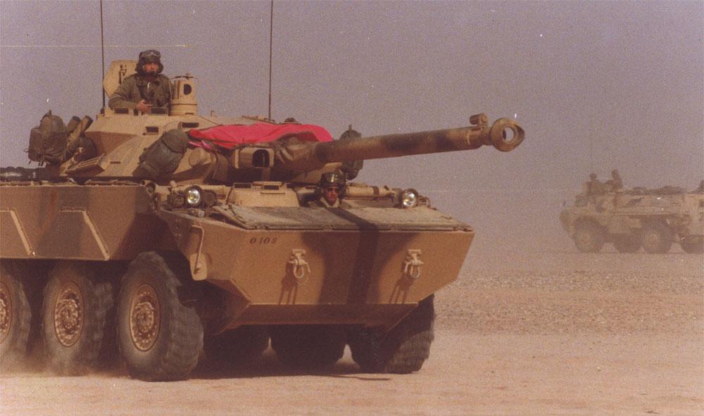 d8.jpg