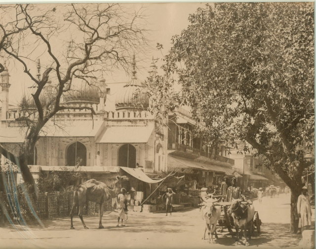 Delhi Street Scene - Vintage Photograph 1875.jpg