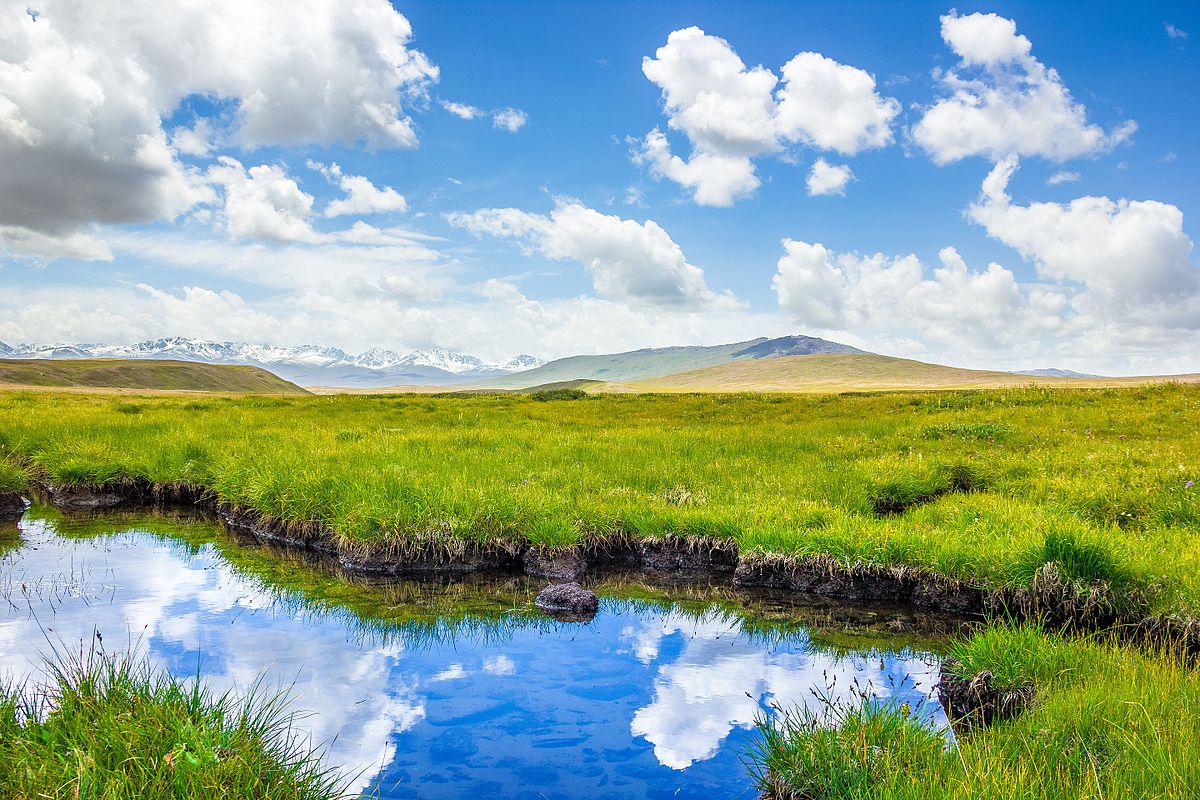 Deosai_National_Park,_Pakistan_-August.jpg