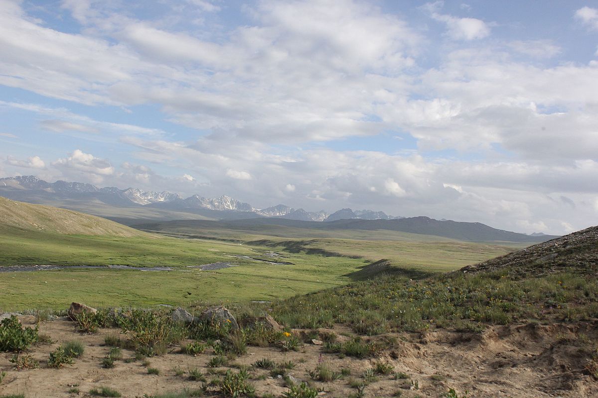 Deosai_National_Park_Plains.jpg